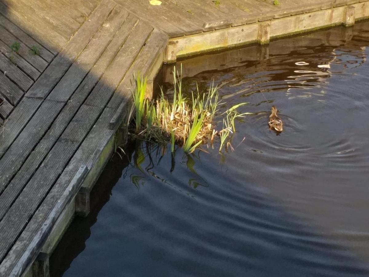 잔담 Huisje Aan Het Water, Omgeving Amsterdam 빌라 외부 사진