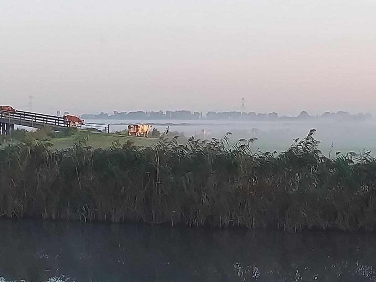 잔담 Huisje Aan Het Water, Omgeving Amsterdam 빌라 외부 사진